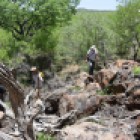 prospection dans la colline aux Baobabs (c)LB.