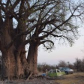 Campement au camp des baobab (c) Laurent Bruxelles