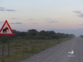 Namibie, sur la route des Aha Hills, au nord de Windhoek (c) M. Jarry
