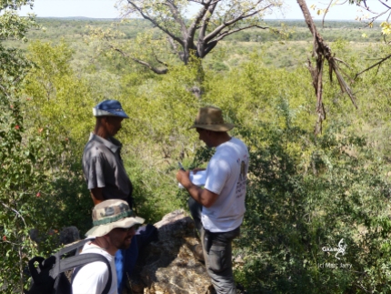 Namibie, Aha Hills, prospection dans la colline du Léopard, discussion avec un bushman (c)