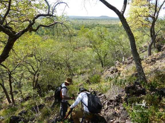 Namibie, Aha Hills, prospection dans la colline du Léopard (c) M. Jarry