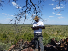 Namibie, Aha Hills, au sommet de la colline du Babouin (c) M. Jarry